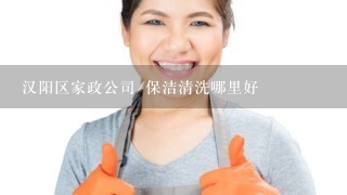 汉阳区家政公司/保洁清洗哪里好