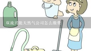 双流兴能天然气公司怎么缴费