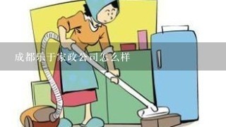 成都乐于家政公司怎么样