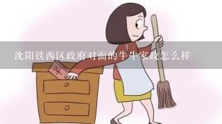 沈阳铁西区政府对面的牛牛家政怎么样