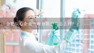 合肥辰心企业管理有限公司怎么样？