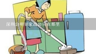 深圳公明镇家政公司在那里