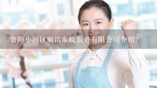 贵阳小河区顺洁家政服务有限公司介绍？