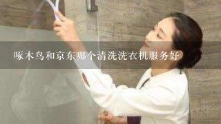 啄木鸟和京东哪个清洗洗衣机服务好