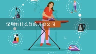 深圳有什么好的月嫂公司