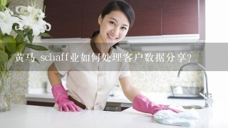 黄马 schaff业如何处理客户数据分享?